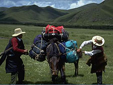 Tibet-Tibet Highland-Tibetan Highlands Ride